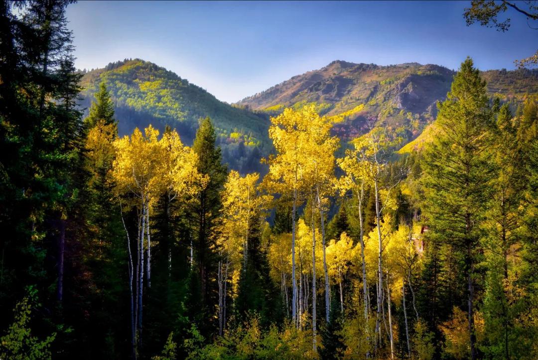 2.81 Acres Near Solitude Ski Resort
