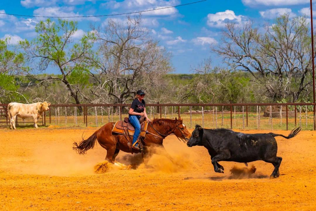 Chilipitin Creek Ranch