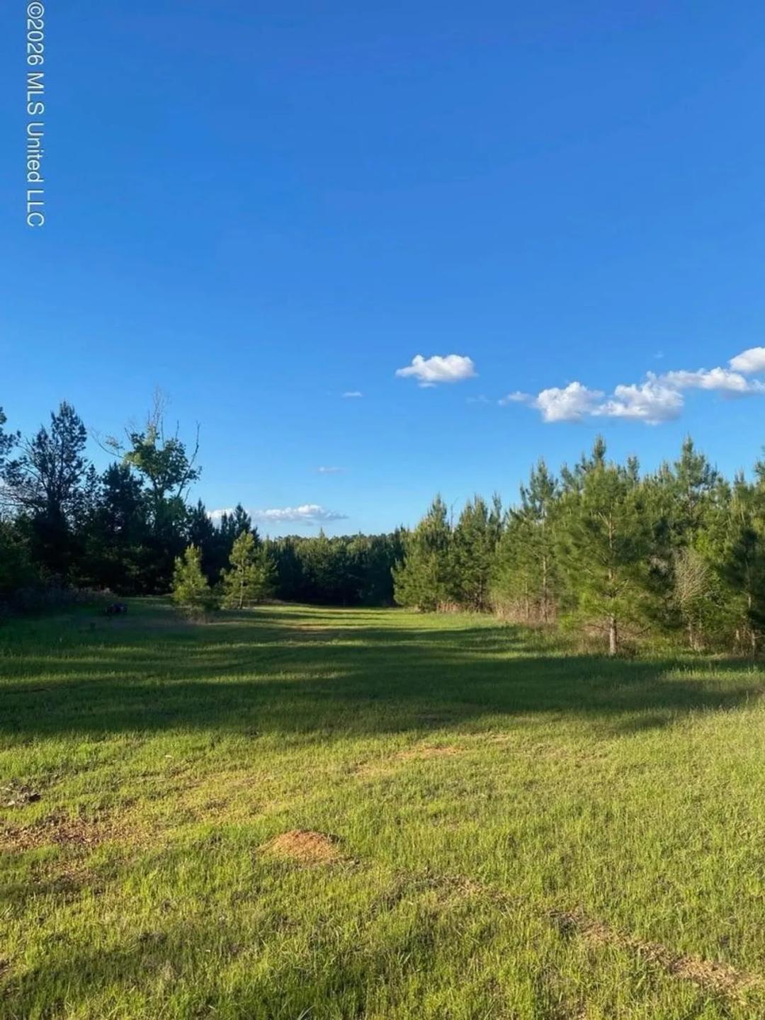 Hunting and Recreational Land for Sale in Amite County, Miss
