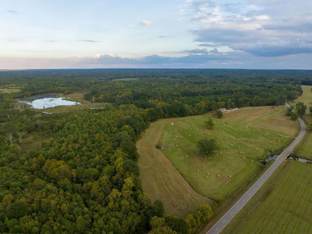 294 Acres of Premier Hunting, Waterfowl & Private Living in Ramer