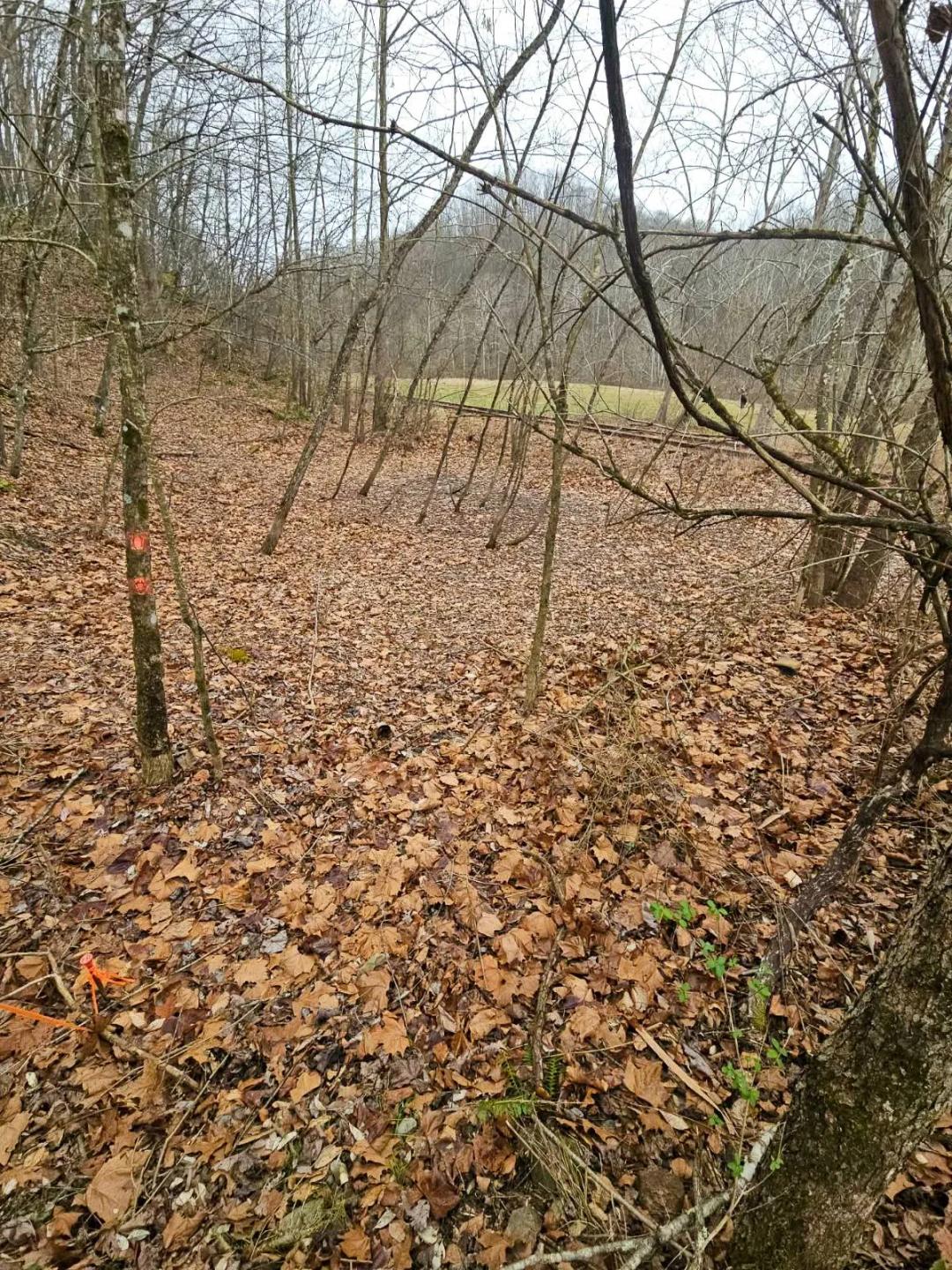 0.96 Recently Surveyed in Copen,WV