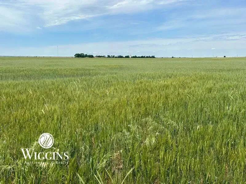 6/11 - 80 +/- Acres of Productive Cropland * Blaine Co., OK