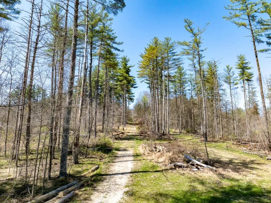 Cox Rd - 218 acres