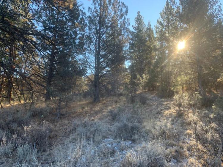 40 acres Forest land - Surrounded by Fremont  NFS lands - Hills - Trees