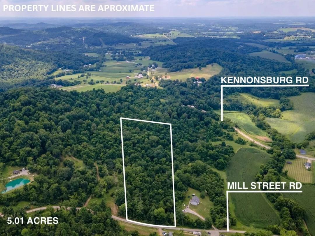 Mill Street Rd - 5 acres