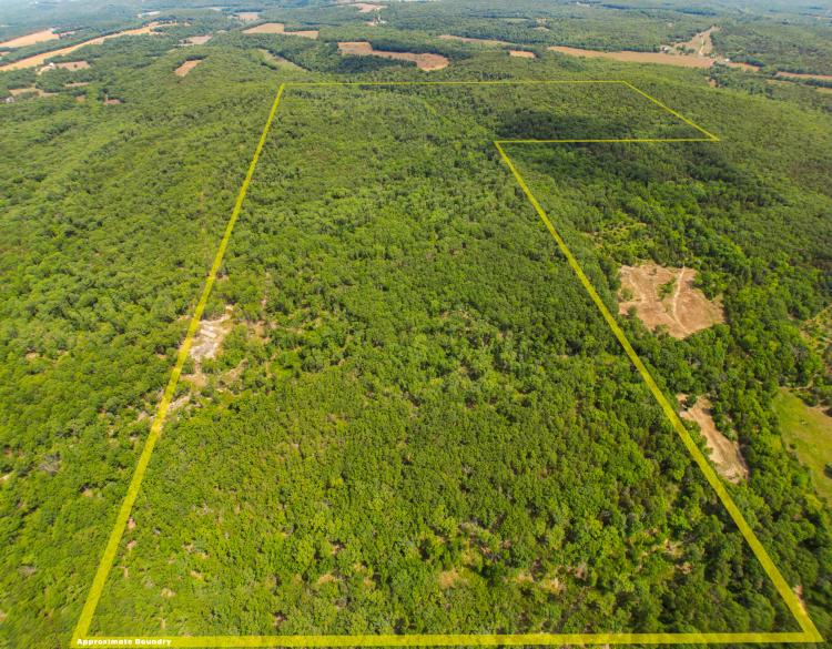 Deer Hunting Land For Sale in Vienna, MO