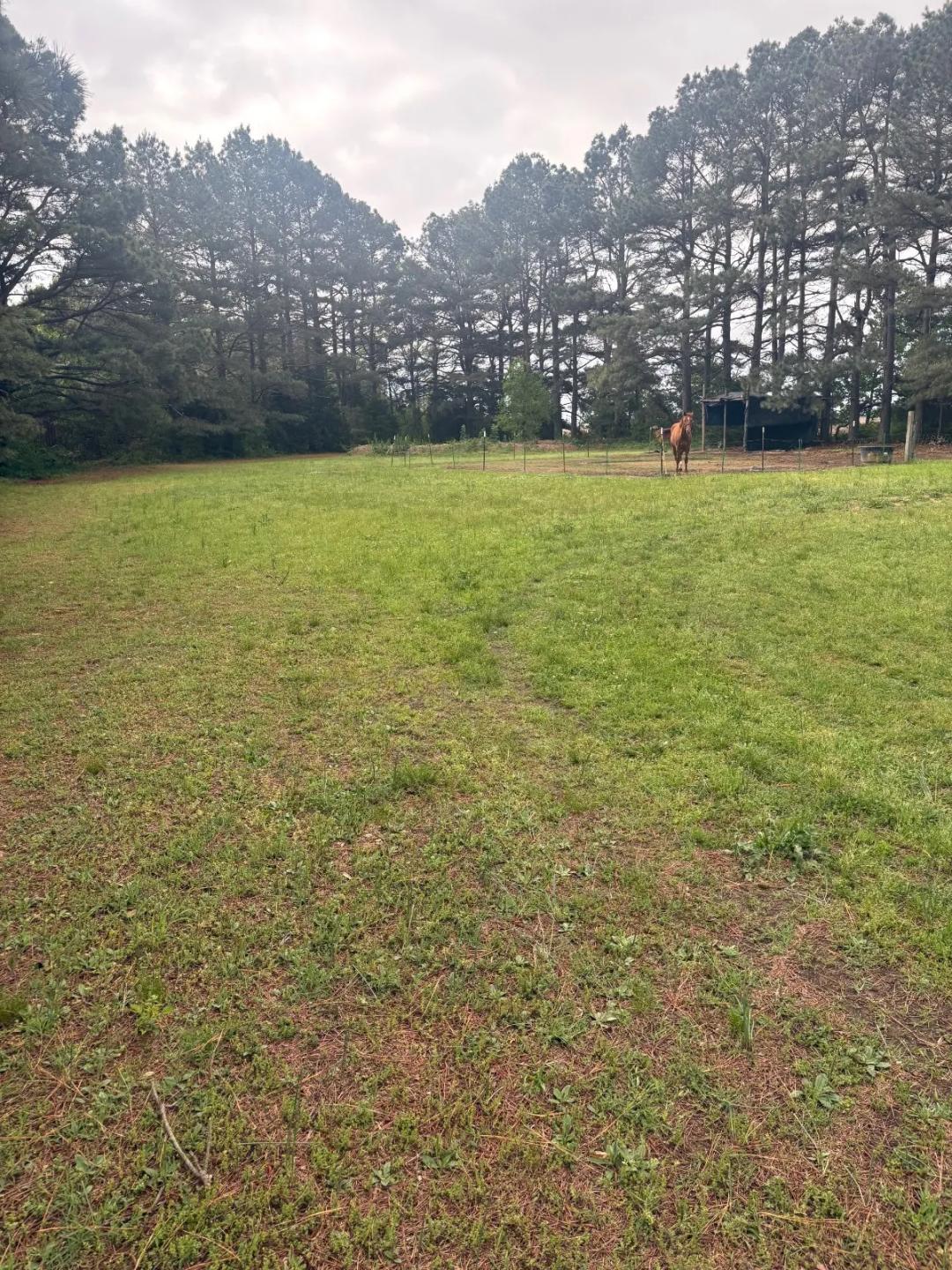 1.00 Acres at PT W/2 SE/4 Hwy 304 E