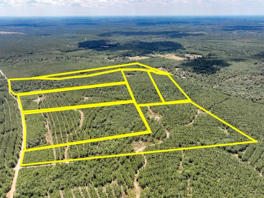 46 Acres | CR 1420 | T-7