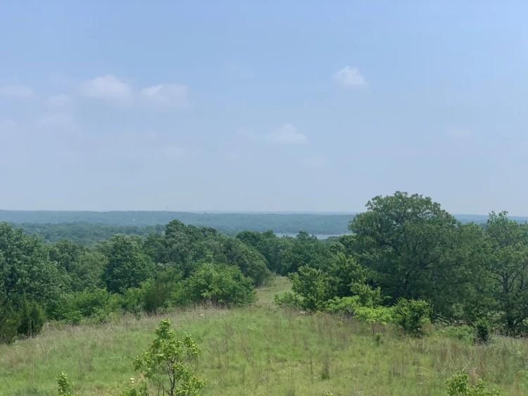 106 ± Ac OK Recreation/Investment Land overlooks Lake of the Arbuckles