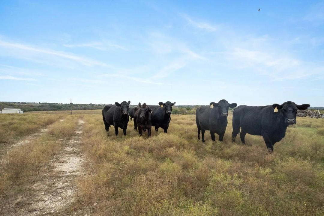 7307 Boswell Court, Lipan, Texas 76462