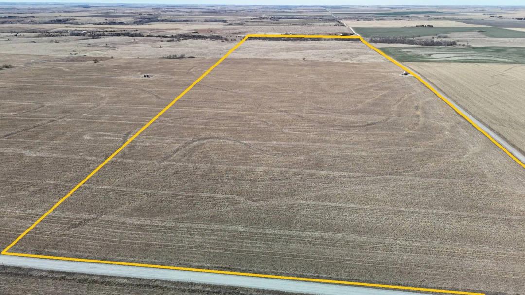 156.78 Acres for Sale in Rooks County KS