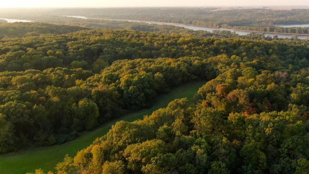 Putnam County, Illinois 99 Acres of Land For Sale