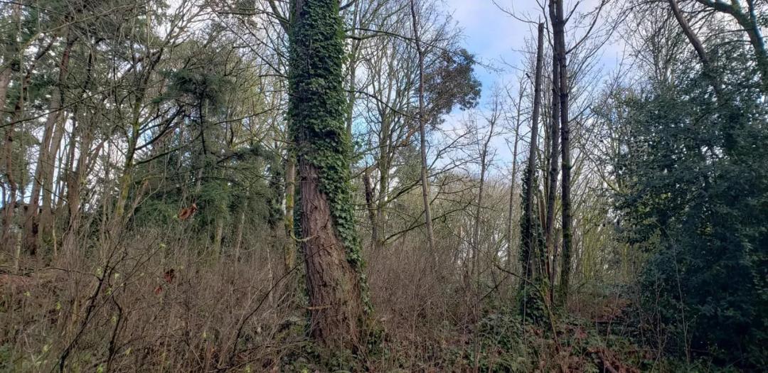 Federal Way 2.16-Acre Development/Investment Property