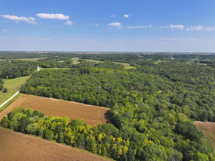 Wapello County, Iowa 80 Acres of Land For Sale