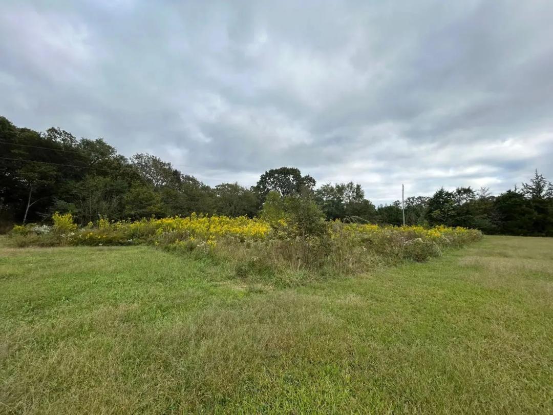 2.34 Acres in Polk County, AR