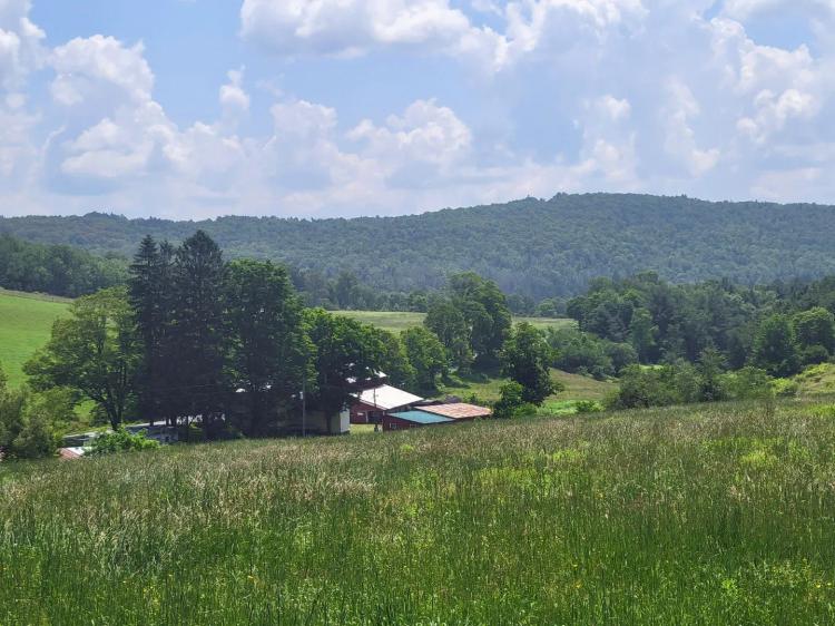 105 acres Land with Blue Stone Mine and Farm Unadilla NY
