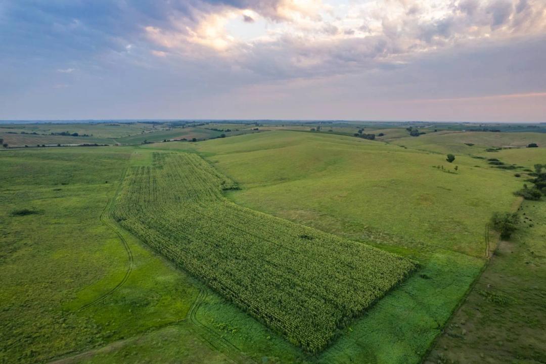 Productive Grass/Tillable Farm