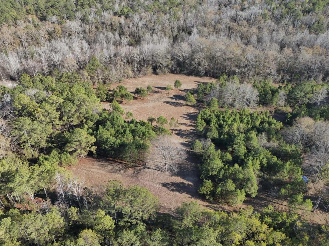 The Noble Tract