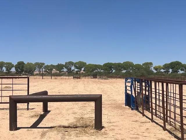 38 Acre Commercial Roping Arena with HIghway Frontage
