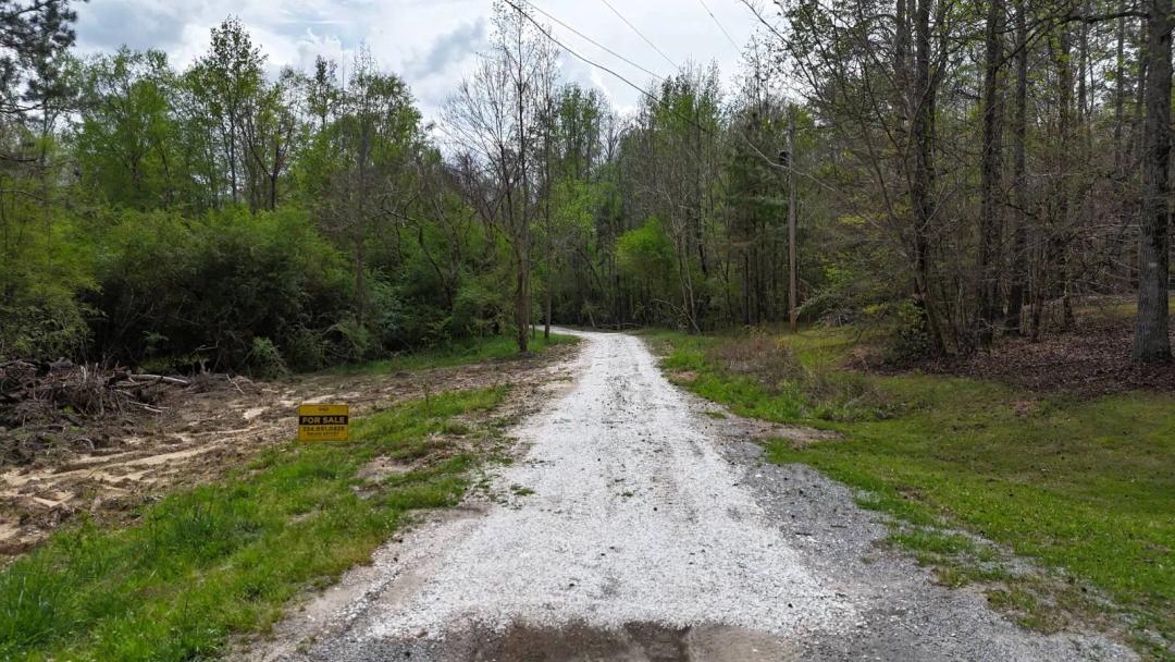 78 Acres Of Hunting And Recreational Property In Alexander City