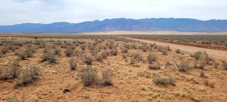 Central New Mexico Residential Homesite.  Mobiles Allowed