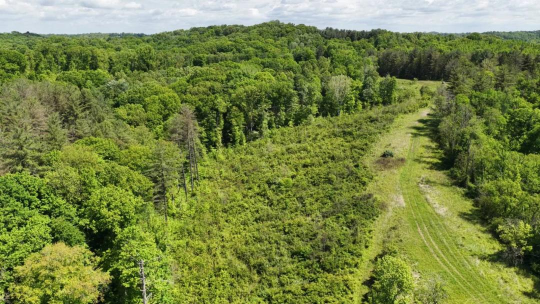 Athens County Ohio Land for Sale | Turnkey Hunting | Road Access