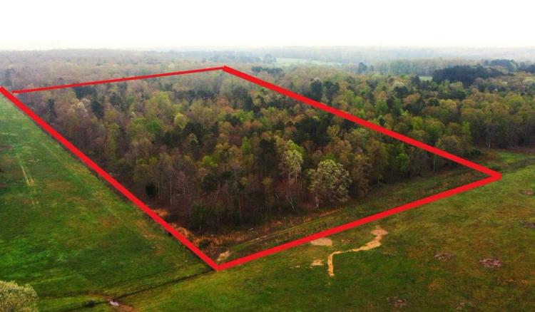 68 Acres For Sale in Ripley County, MO