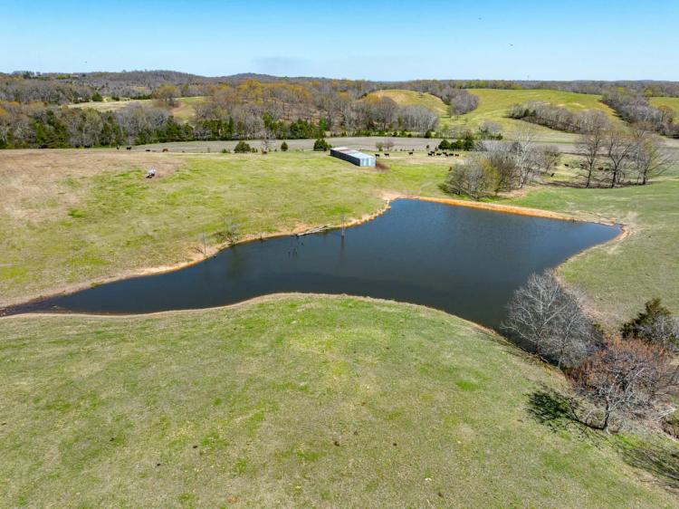 106 +/- Acres, Gorgeous Pastures, Pond, Fenced, Road Frontage, Batesville, Arkansas