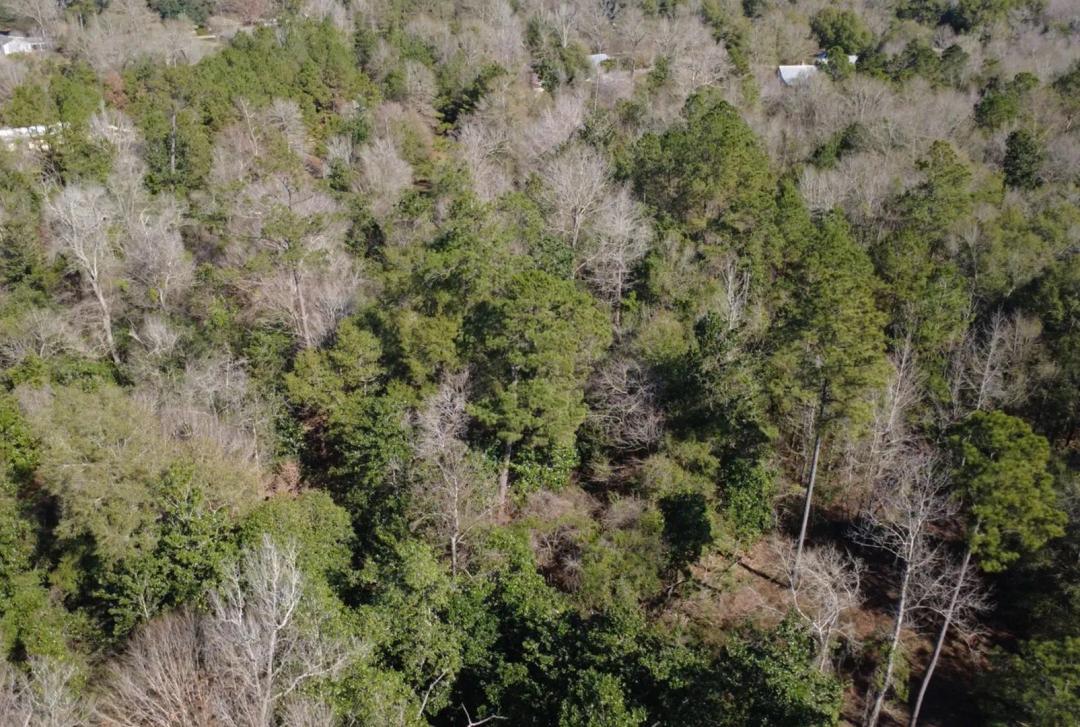 53.63 Acres in Washington Parish in Bogalusa, LA
