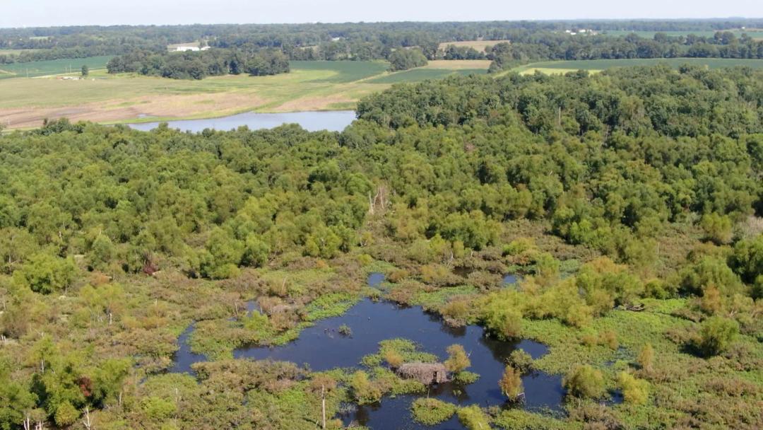 Franklin County, Illinois 250 Acres For Sale