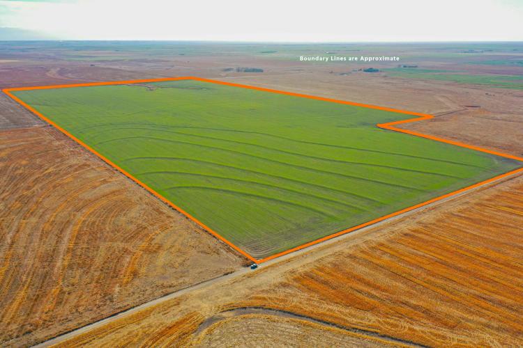 Gove County Kansas Land for Sale at iAuction – The Elaine Williams Farm