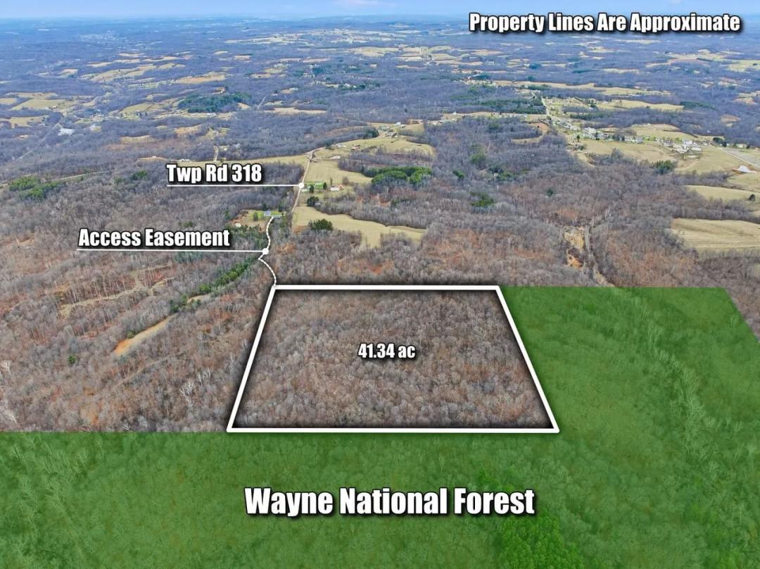 Twp Rd 318 - 41 acres