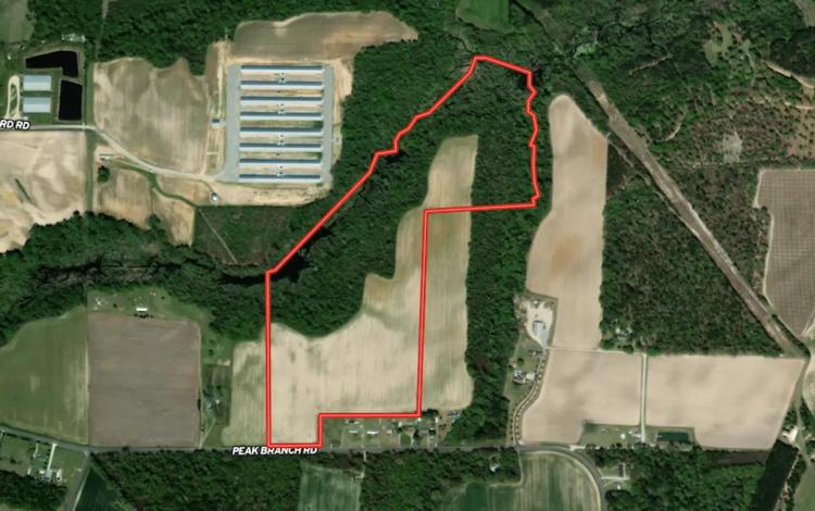 54.59 acres of Recreational and Residential Land For Sale in Greene County NC!