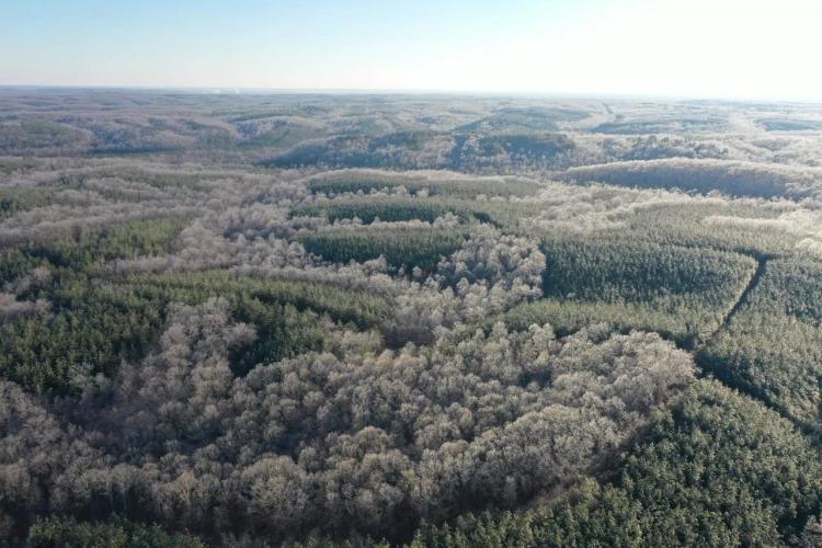 935 Acre Hunting Conservationist Dream Property