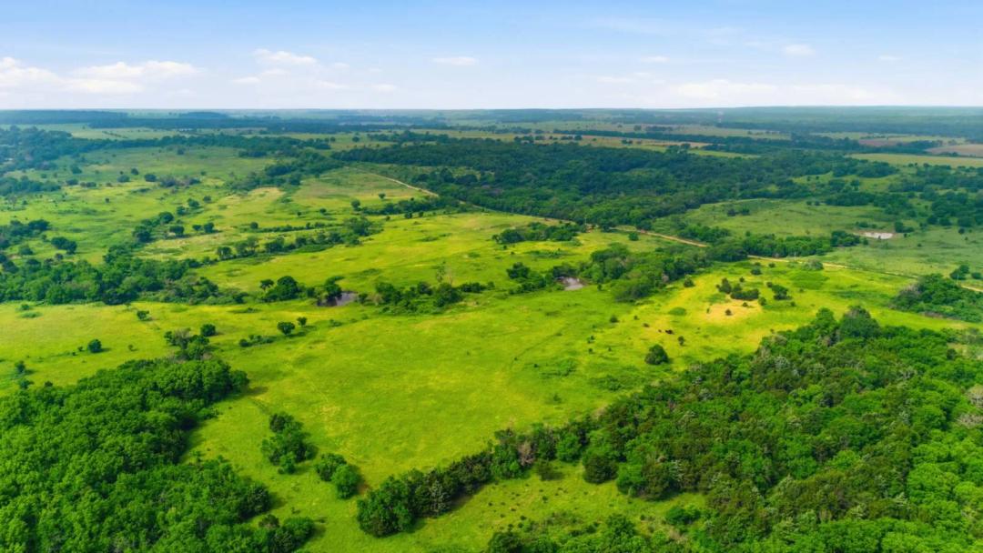 80 Acre Elk County Grazing and Hunting