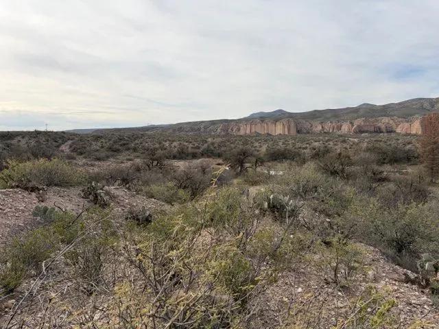 117+/- Head- East Banderilla Ranch- Located in Cascabel AZ