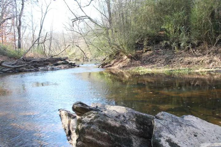 +/- 22.83 Acres on Mabe Road in Star, NC