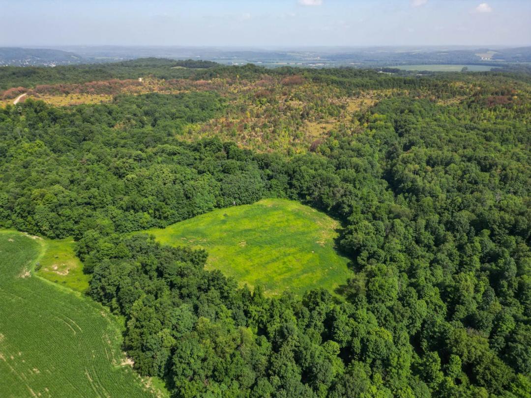 Copeland Woods Farm Bordering Tri Valley Wildlife Area