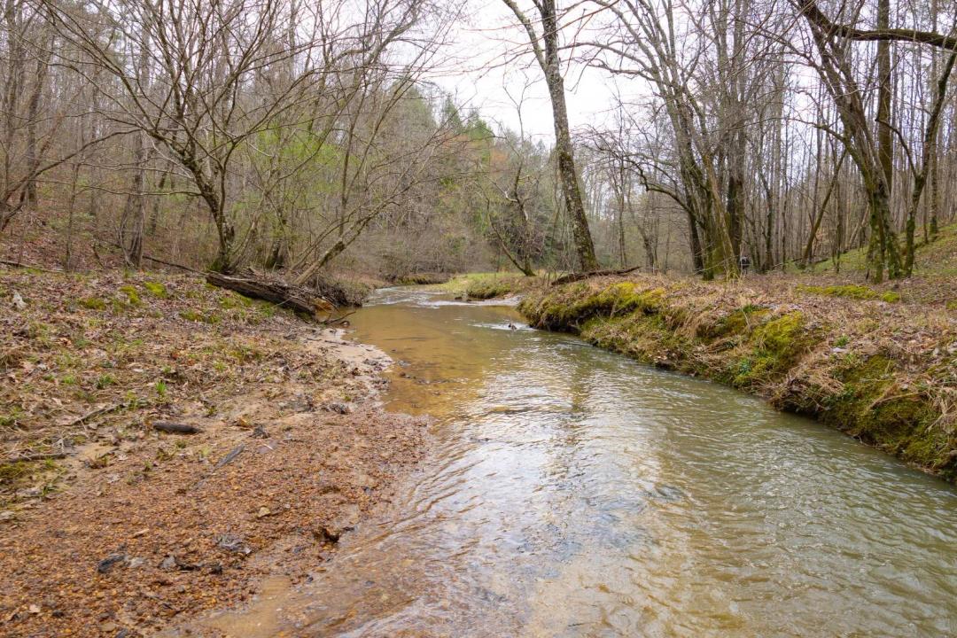 386+/- Acres For Sale Winston County, AL