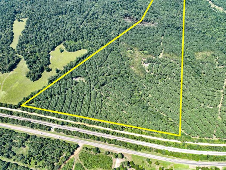 49.5 Acres | County Road 9070 | T-4