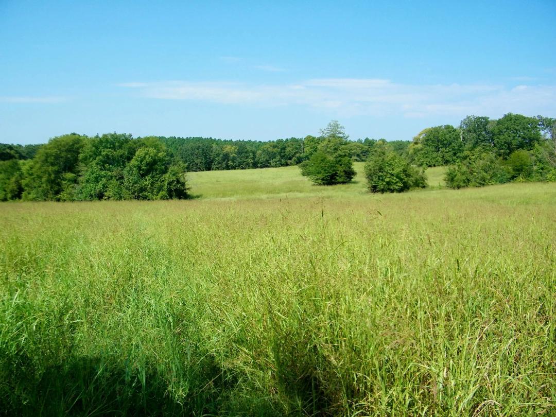40 Acre Tract outside Hochatown OK
