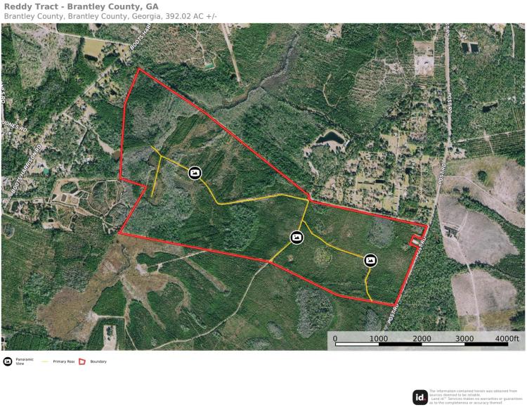 392-acre timber/hunting tract in Brantley County