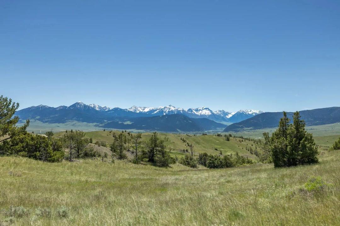 30 Acres of Views and Deer Hunting!