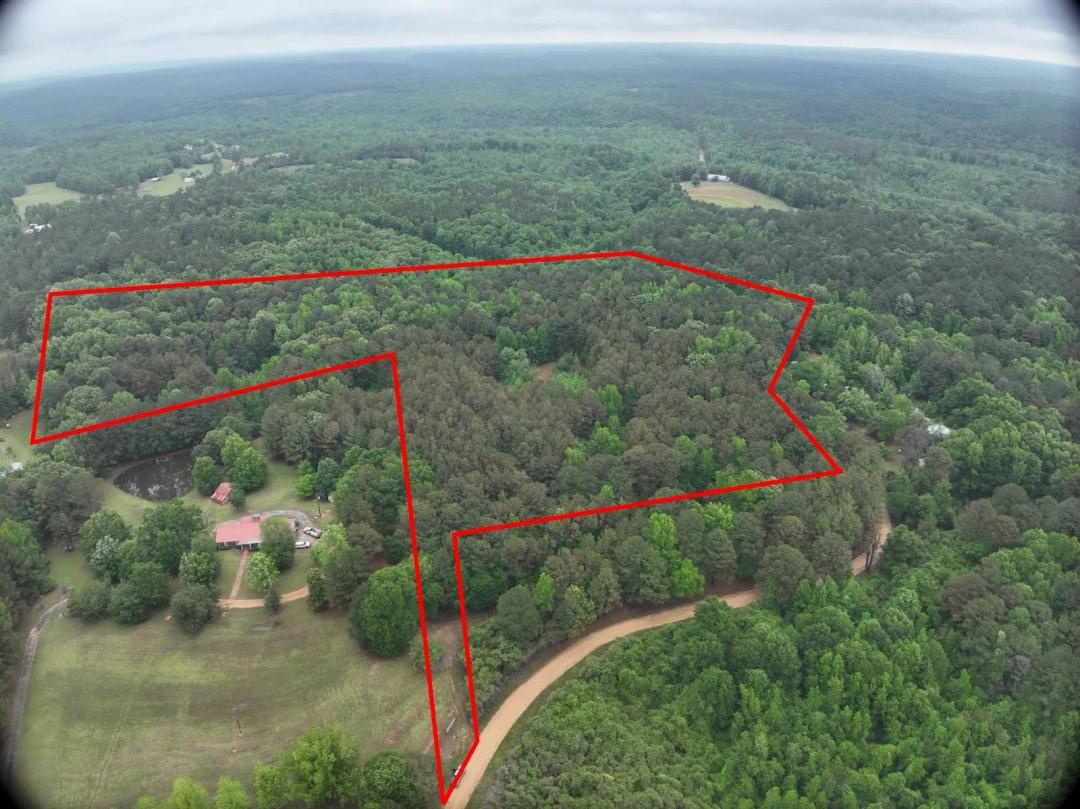 13.43 Acres - Tuscaloosa County - Lucky 13 Tract