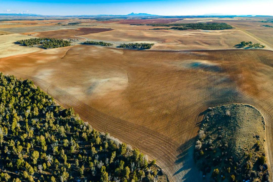 427.00 Acres at 175 E Lockerby Rd