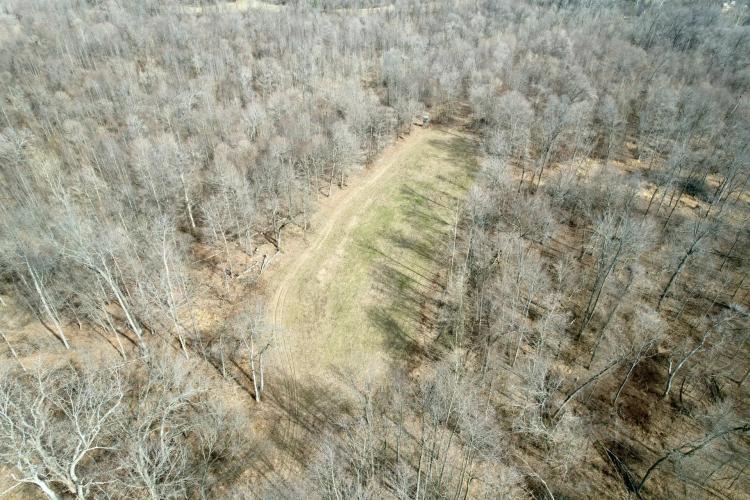 All wooded tract in Jackson Co. Illinois