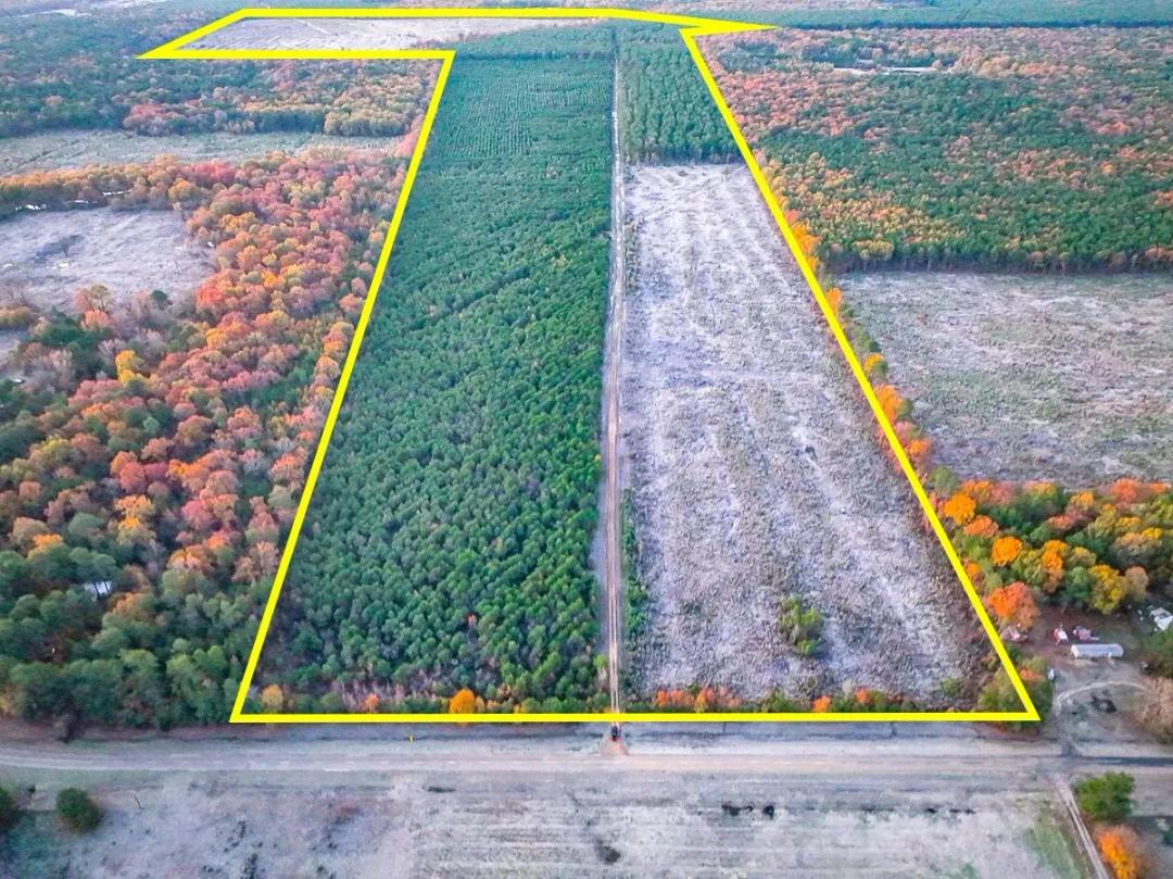 175 Acres | FM 2120 | Kiskadee