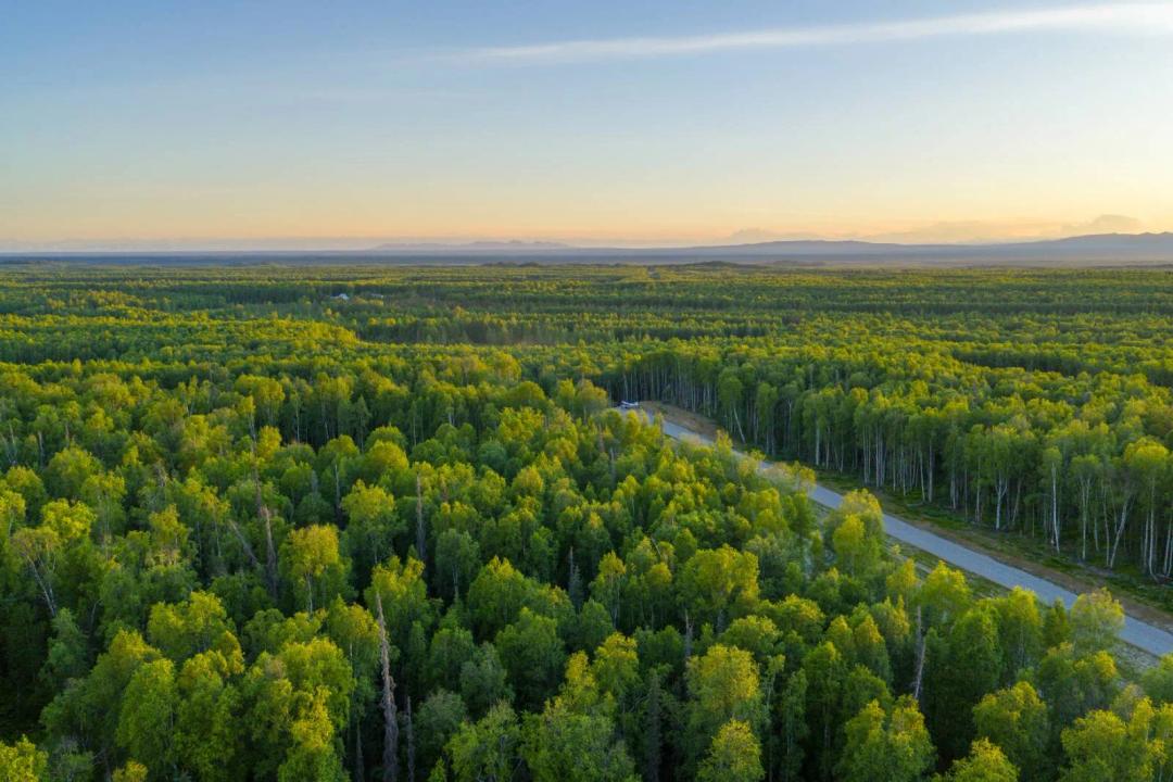 Unit 76 Baldy Lake Airpark
