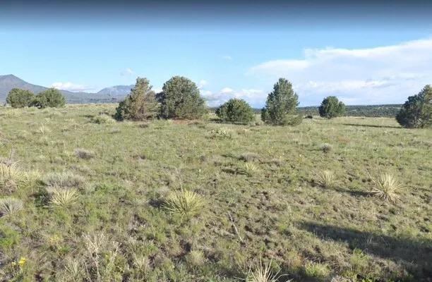 ***PRICED TO SELL*** 1.34 Acres in Pueblo CO - Only $5,999!