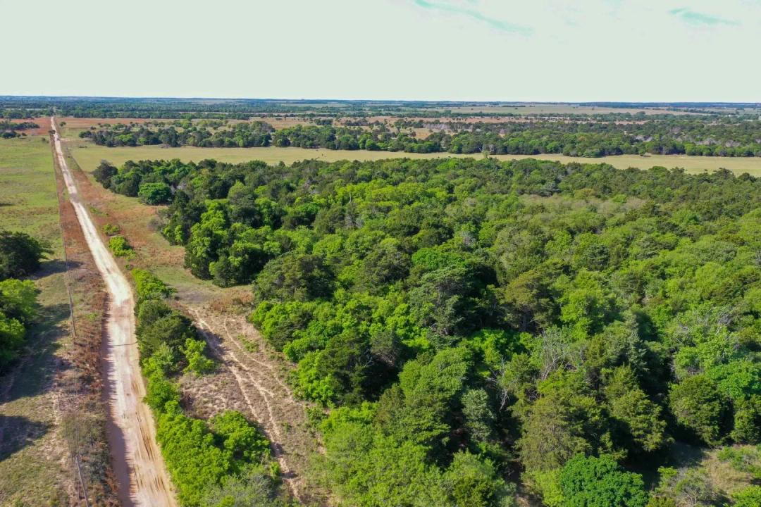 159± Acres Cropland, Grassland, Timber & More